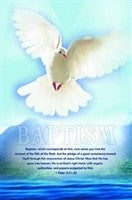 Pkg.100 Baptism Bulletins. 1 Peter 3:21-22. 8 1/2"x11"