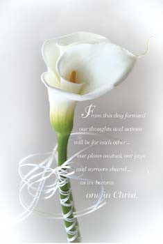 Pkg./100 One in Christ Bulletins. Save 50%.