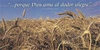 Spanish Wheat Field Offering Envelope - 2 Corinthians 9:7 (RVR 1960)-SAVE 50%.