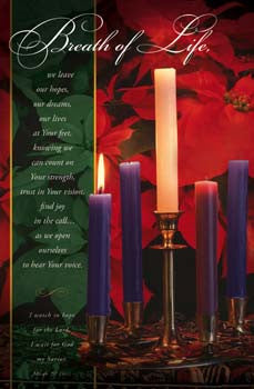 Pkg./100 Breath of Life Bulletins.  Save 50%.
