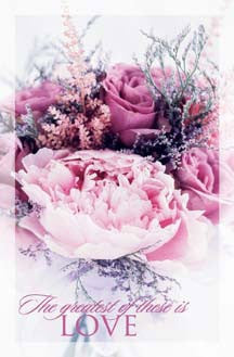 Pkg./100 Pink Roses Spanish Bulletins. Save 50%.