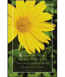 Pkg./100 Spanish Bulletins.  Save 50%.